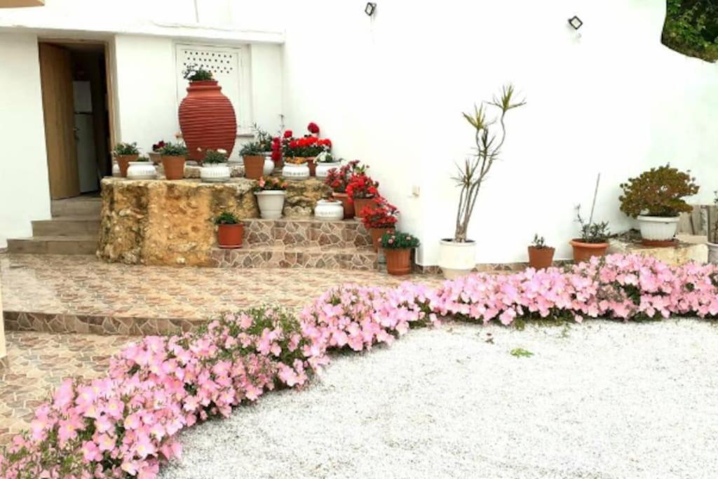Newly Reconstructed Flat 107Sqm! Apartment Chania  ภายนอก รูปภาพ